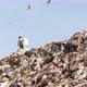 A Man Collects Garbage in a Landfill - VideoHive Item for Sale