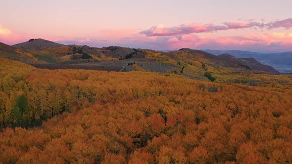 Aerial view of pink sunset over canyon full of Autumn colors in Utah alt