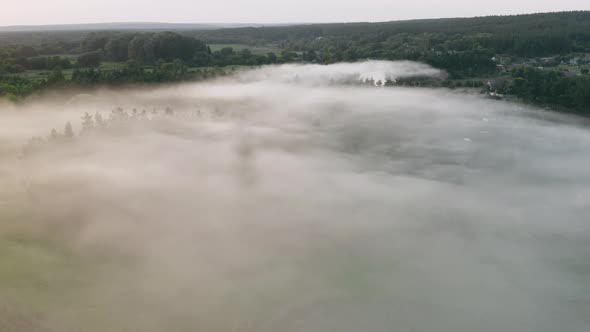 Forest Fire Wildfire Forest Fire alt