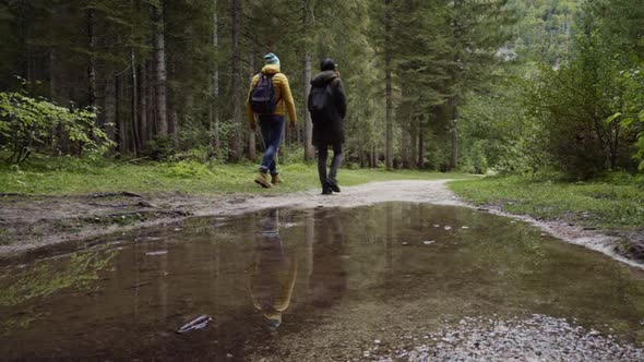 Hikers in the forest, Parco Naturale dei Laghi di Fusine, Italy alt