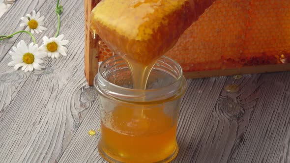 Fresh Delicious Honey is Flowing Into the Glass Jar From the Honeycombs alt