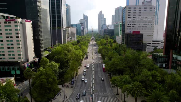 Drone shot backwards of dead palm at paseo de la reforma in mexico city alt