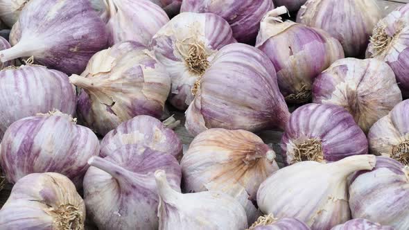 Garlic bulbs. Fresh garlic on the wooden table.  alt