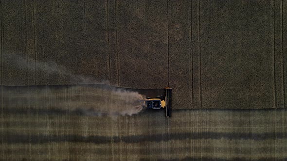 Aerial drone view from above of a modern combine harvester reaping cereals at sunset in Alberta, Can alt