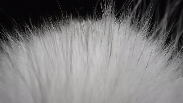 Real Fuzzy White Fur Extreme Closeup. alt