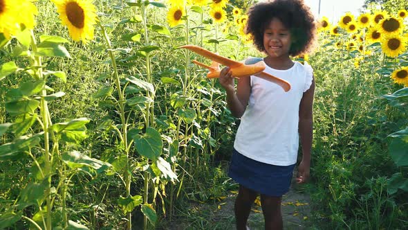 Farmers in a beautiful sunflower field alt