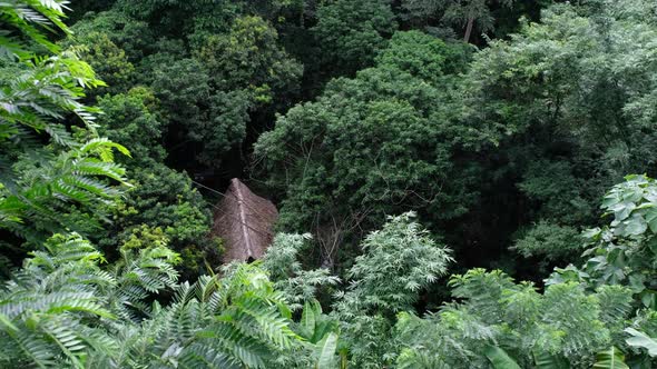 Aerial view from drone of tree house in the forest