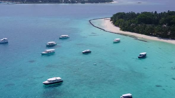 Copy space seascape of coast beach by blue ocean and sand background near surf alt