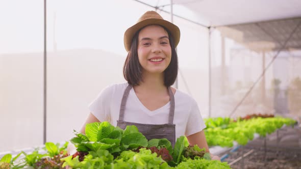 Portrait of Asian farmer girl carrying box of vegetables green salad in hydroponic greenhouse farm. alt