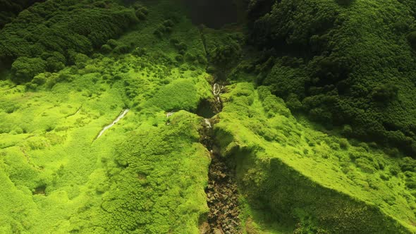 Mountains Covered Green Vegetation in Poco Ribeira Do Ferreiro Flores Island alt