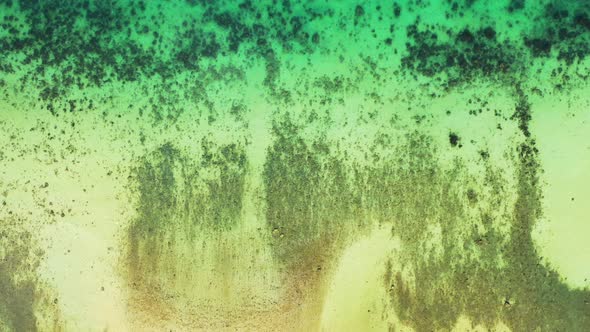 Beautiful sea bottom texture with coral reefs and pebbles pattern under clear water of shallow lagoo alt