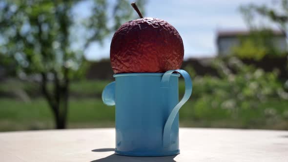 The Camera Pans to a Limp Apple Lying in a Blue Watering Can on a Wooden Table alt