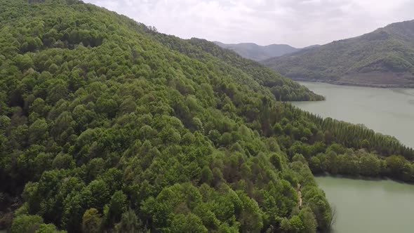 Aerial Green Forest Mountain Tilt alt