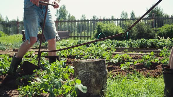 Dad and Son Working in Garden Plowing Ground Pulling Plow Preparing Soil alt