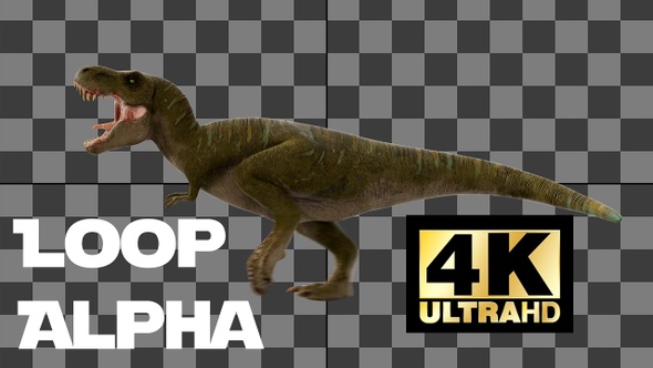 Dinosaur Tyrannosaurus Run And Roar Loop With Alpha Side View