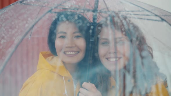 Portrait of Happy Friends Wearing Raincoats Standing Under Umbrella Outdoors alt