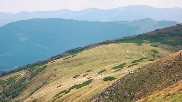 Picturesque Carpathian Mountains in Summer alt