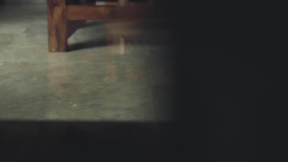 Close Up of Woman Feet Legs alt