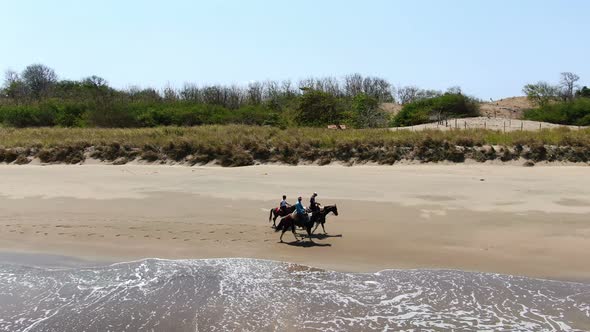 Family Riding Horses on the Seashore
