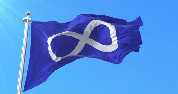 Metis Flag alt