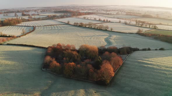 Aerial drone video of rural countryside landscape scenery with orange autumn trees and green fields  alt