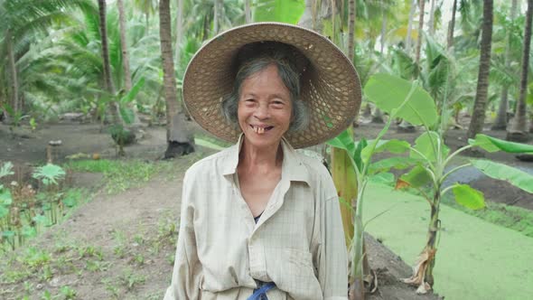 Portrait of Asian laughing senior older female farmer with happy face working in the coconut farm. alt