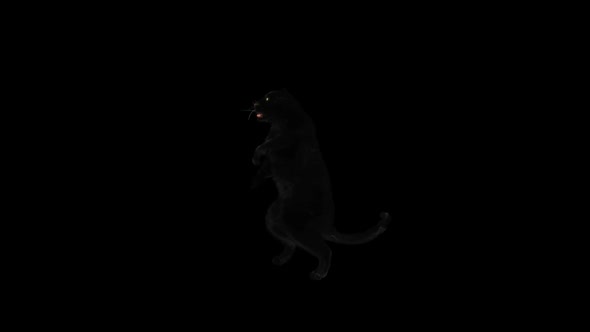 Panther Dancing HD alt
