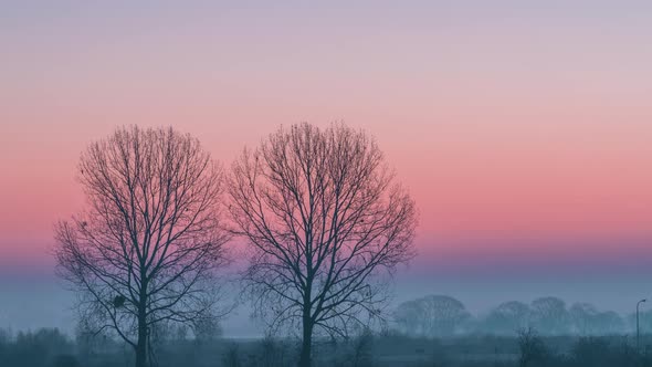 Minimalistic Rural Landscape at Sunrise