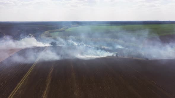 Clouds of Smoke Above the Burning Field