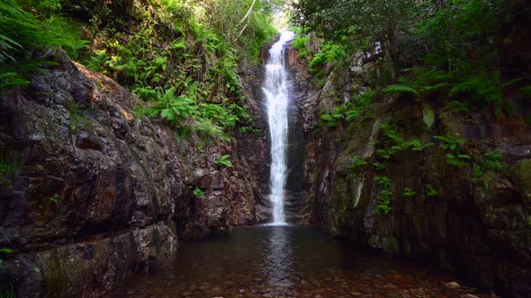 Close-up of a waterfall in the middle of a forest alt