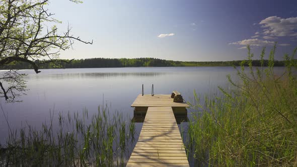 Wooden bridge on the lake on a sunny day in spring