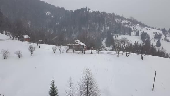 Calm and cosy fairy-tale village Kryvorivnia covered with snow in the Carpathians mountainsains