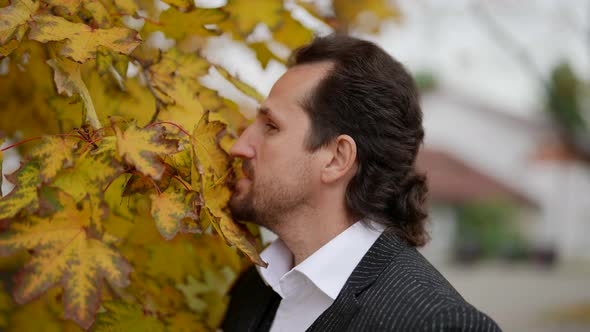 an Unshaven Man Whispers Something to the Yellow Maple Leaves alt