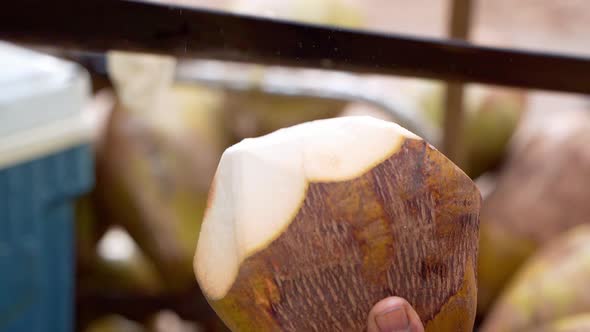 Most refreshing drinks in the Caribbeanit's the coconut of water, slow motion view alt