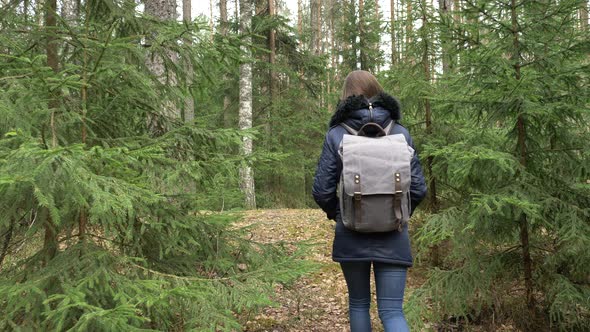 Young woman with backpack in a woods. Hiking at summertime