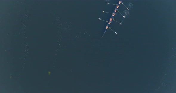 Aerial of dragon boat race during annual Riverfront Dragon Boat Festival alt