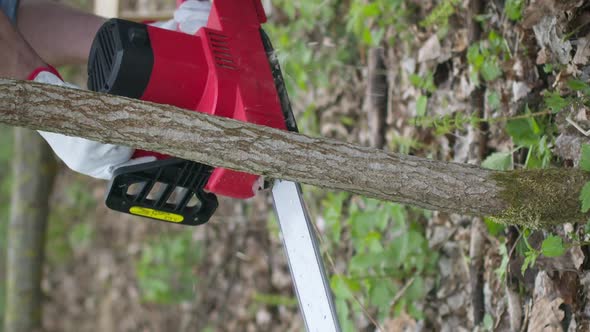 Vertical Shot Close Up Lumberjack in Working Uniform Sawing Young Tree Trunk with Chainsaw