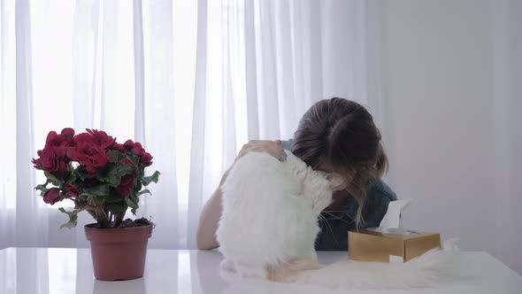 Allergy Fur, Woman Suffers From Respiratory Disease Sneezes Due To Pet and Wipes with Handkerchief alt