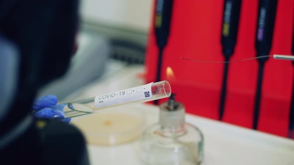 Coronavirus, Covid-19, 2019-Ncov Vaccine Concept. Virologist Works with Coronavirus Samples in alt