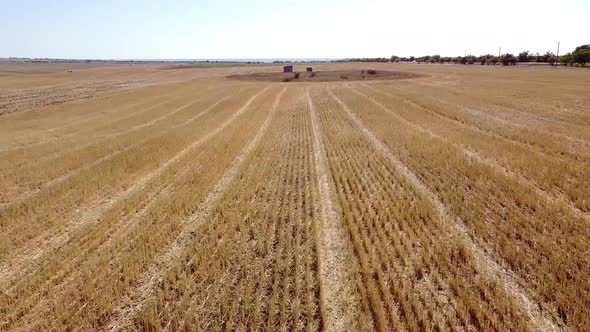 Desolate Gloomy Agricultural Landscape in the Countryside Shooting From a Height alt