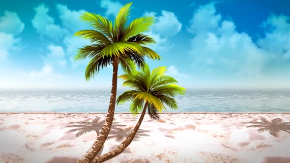 Palm On The Cloudy Beach 4