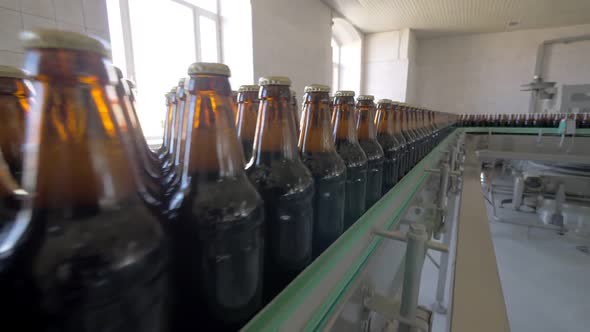 Bottles of Beer Are on Transporting Belt in Plant of Brewing Factory
