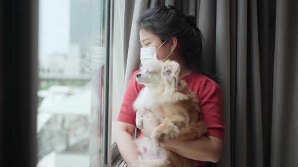 female wearing protective face mask hold little brown chihuahua dog looking out of window
