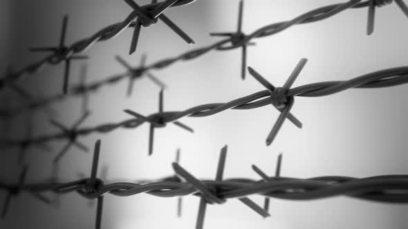 A horizontal motion animation of isolated sharp barbed wire. Loopable. HD alt