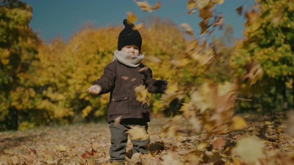 Little Boy Stands Under the Leaf Fall in the Yellow Autumn Park on a Sunny Day