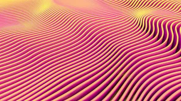 Animation of Wave Movements of Pink Geometric Lines