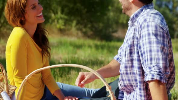 Romantic couple enjoying in olive farm 4k alt