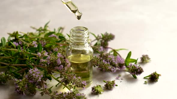 Thyme Essential Oil in a Small Bottle alt