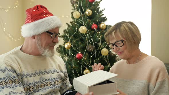 Cheerful Elderly Married Couple Celebrating Christmas. Husband Wearing a Santa Hat Gives His Wife a alt