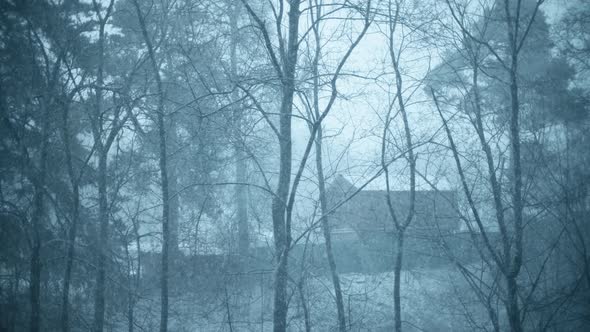 Secluded Cabin in the Woods in Heavy Snowfall alt